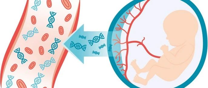 香港邮寄验血查胎儿性别解析:发生过这些情况还能做Y染色体检测吗？