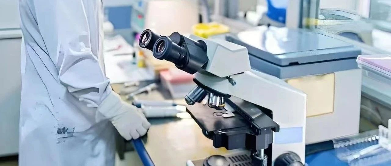 无需等待！八周检测！Y Precision检测：一针见血揭秘双胎组合，科学预见！